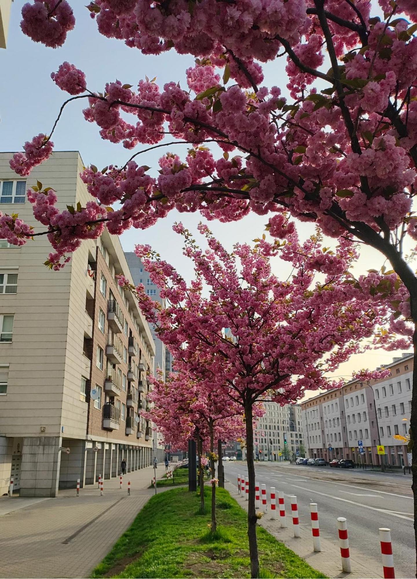 Totutotam Leilighet Warszawa Eksteriør bilde